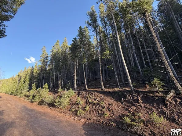 2696 & 2697 No Site Address, Fort Garland, CO 81133