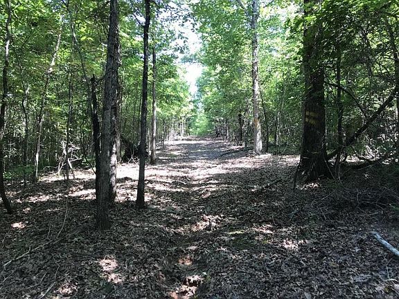 Trail System Through Hardwood on East Side of +/-80 Acre Kemper County, MS Hunting and Recreational Property With Custom Cabin and Pond