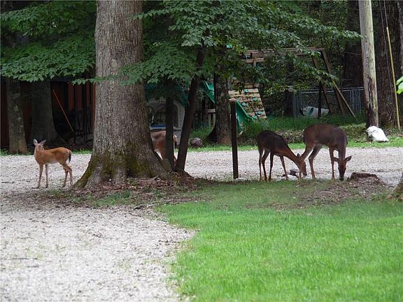 How fun is this? Interesting area residents!