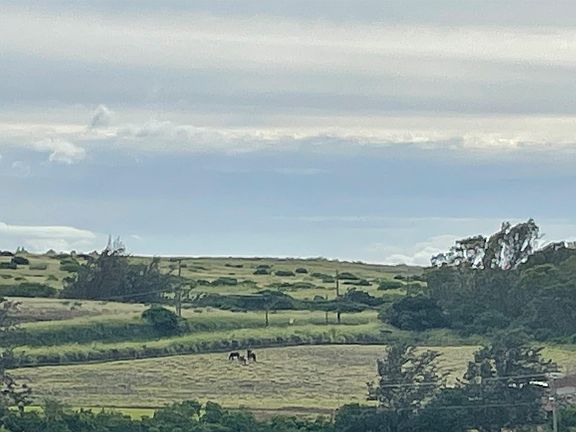 3rd image of 1221 Haliimaile Rd