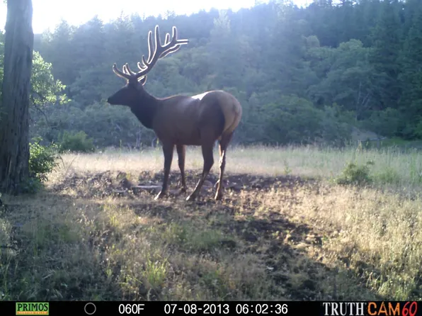 2455 Terri Dr, Medford, OR 97504