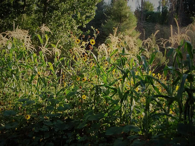 County Road 54G — Photo 9
