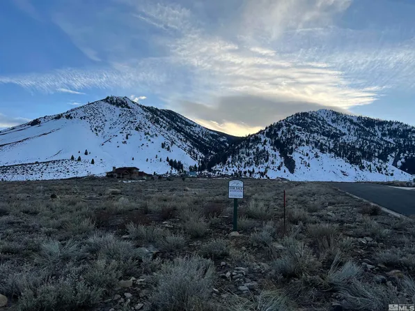 2943 James Canyon Ct, Genoa, NV 89411