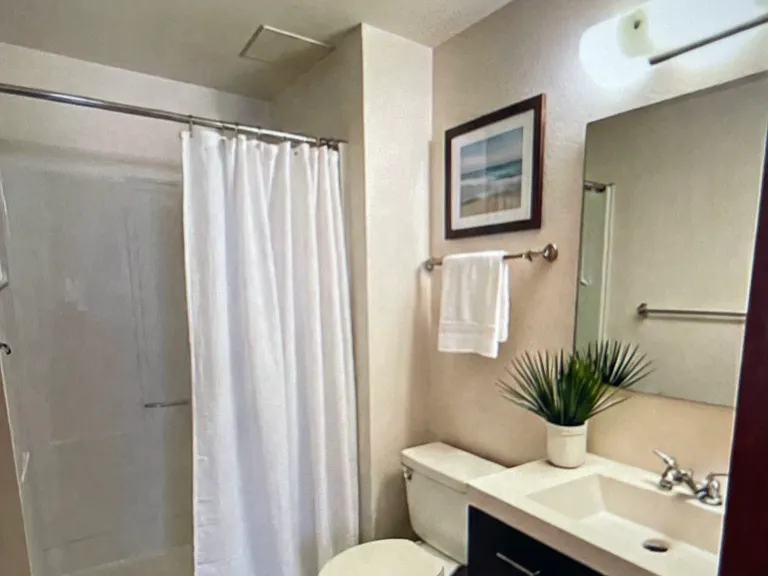 Basement bathroom virtually staged