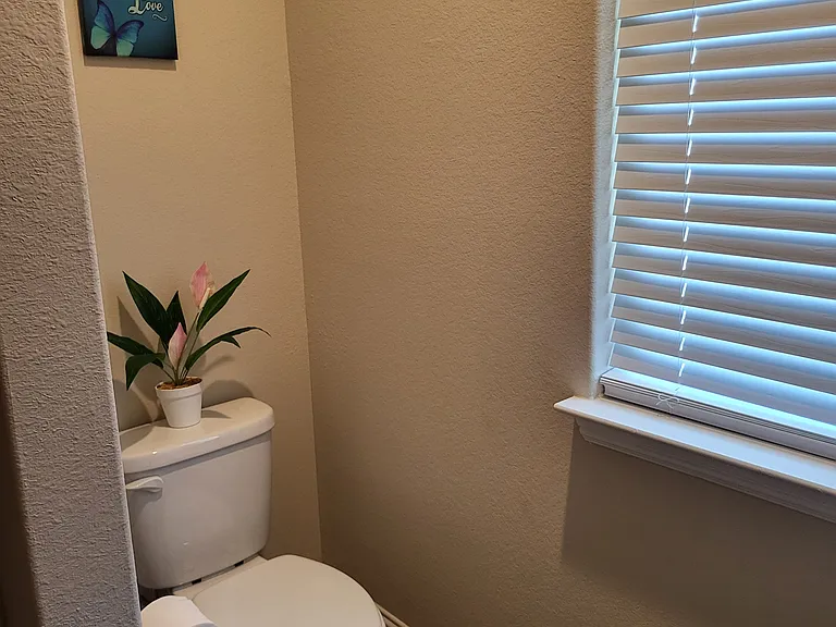 3620 Hidden Hollow Dr — Photo 31