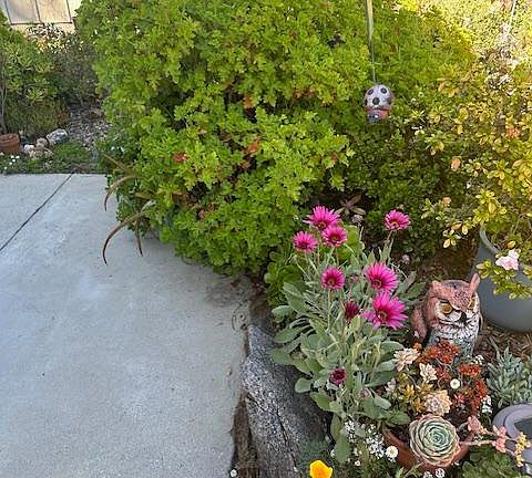 3rd image of 864 Pinecone Dr
