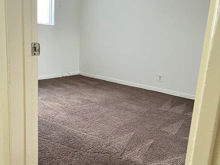 16405 Cornuta — Photo 10