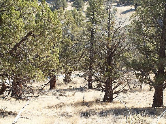 4th image of 0 SW River Rd