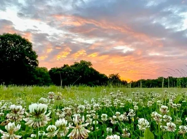 5108 Huntsville Quality Rd, Lewisburg, KY 42256