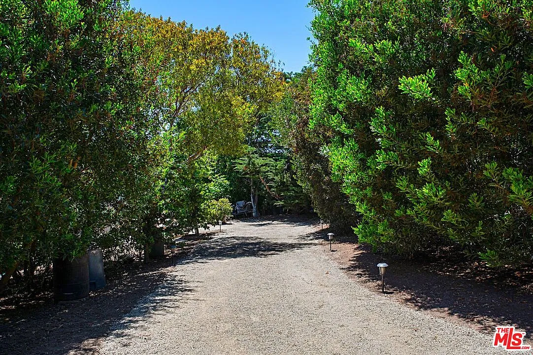 1 bed, 1.0 bath, $12,500 — Photo 3