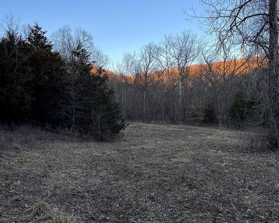 1st image of Skyline Dr S