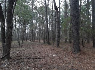 6 Pelican Point Dr, Darien, GA 31305