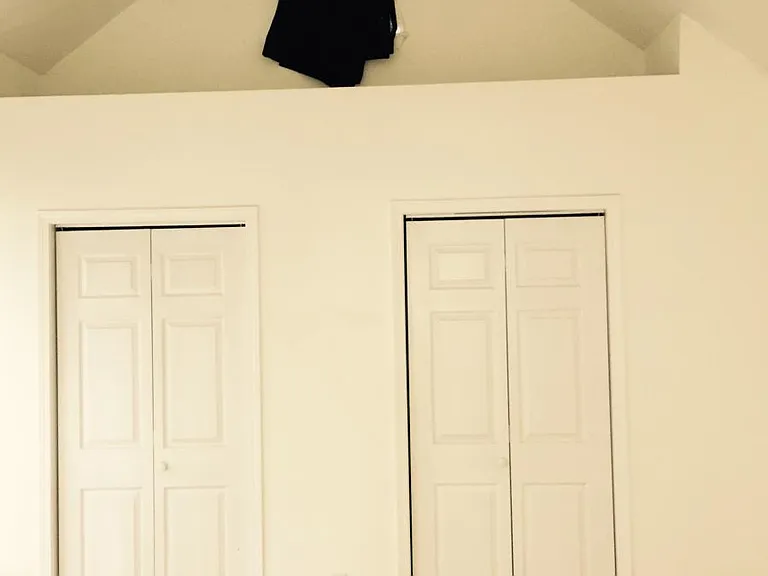 Master Bedroom Vaulted Ceiling