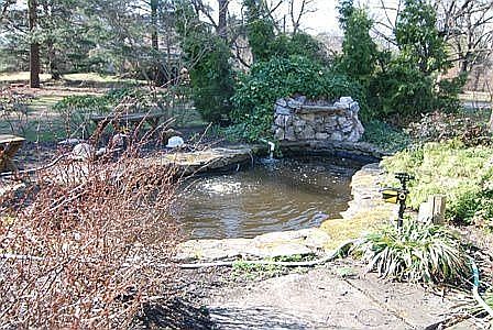 Koi Pond