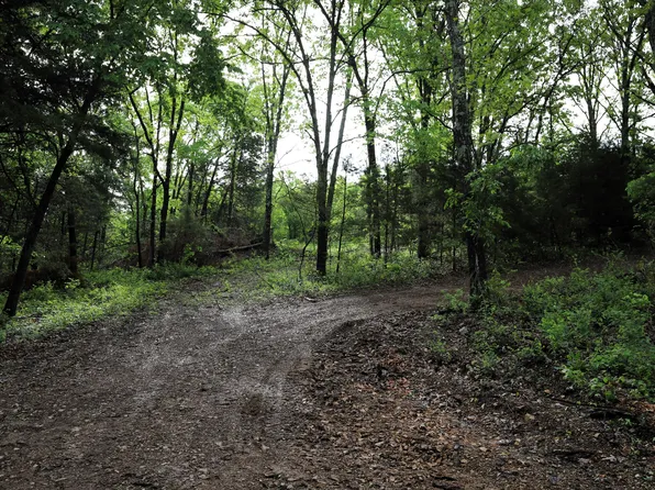 4b2 Gideon Cave Rd, Billings, MO 65610