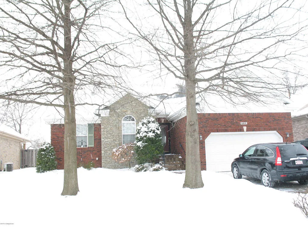 6810 Brighton Springs Ln photo 1