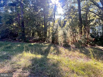 252 Lighthouse Ln, Montross, VA, 22520