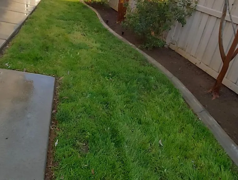 32347 Fernleaf Dr — Photo 6
