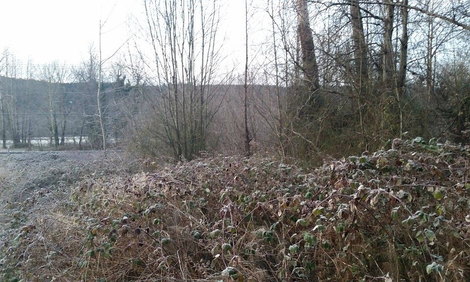 1st image of 4539 359th Ave SE