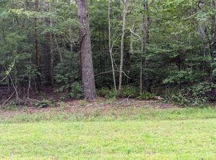 11 Quail Cove Cir, Warne, NC 28909