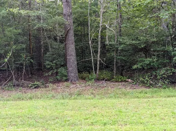 11 Quail Cove Cir, Warne, NC 28909