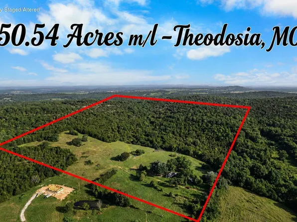 550 County Road 900, Theodosia, MO 65761