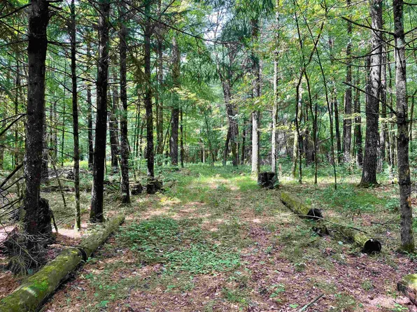 W2247 Otter Ponds Ct, Keshena, WI 54135