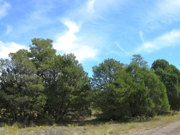 3483 N Pine Cir, Heber, AZ 85928