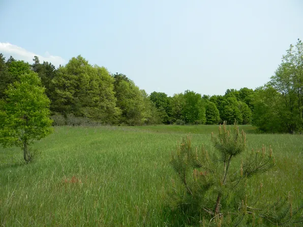 4425 W Buchanan Rd, Shelby, MI 49455