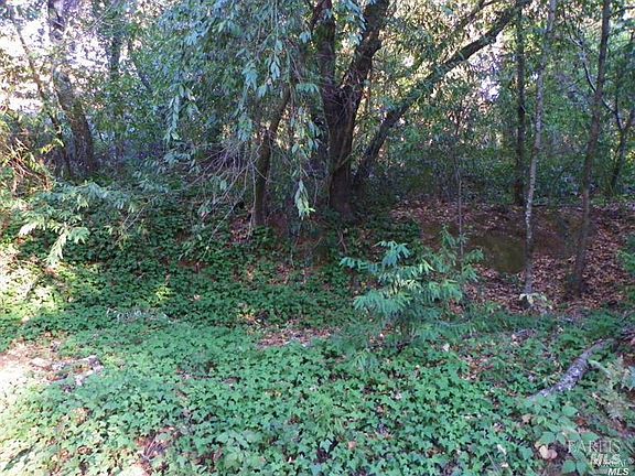 5th image of 9465 Westside Road