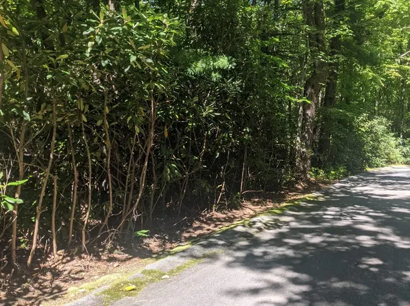 111 Rhododendron, Cleveland, SC 29635