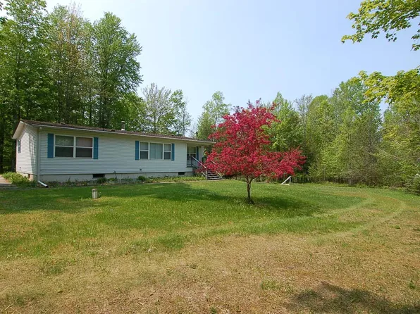 7431 N Vandermeulen Rd, Lake City, MI 49651