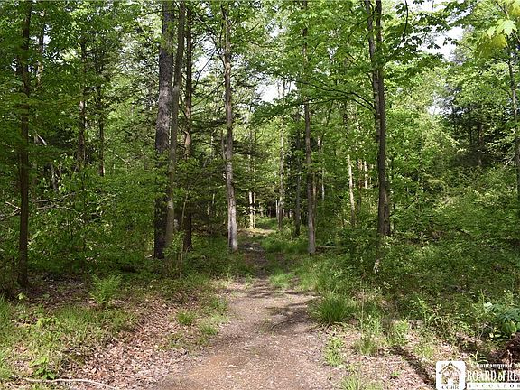 5th image of 10133 Edward Corners Rd Lot 31