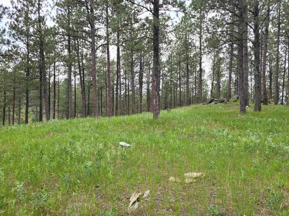 Tbd Caledonia Trl, Custer, SD 57730