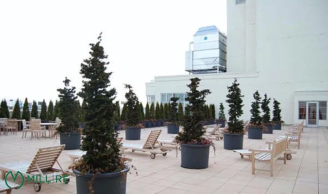 Rented by MiLL RE | media 36