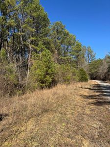 Ernest Chapel Rd, Oakman, AL, 35579