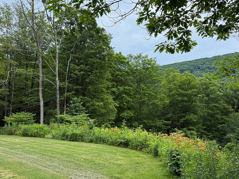 Harvey Mountain Rd — Photo 8