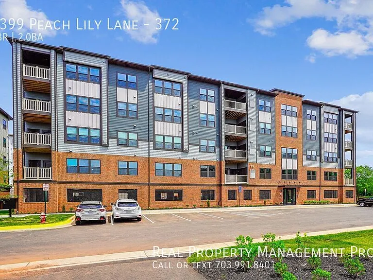 4399 Peach Lily Ln #372 — Photo 1
