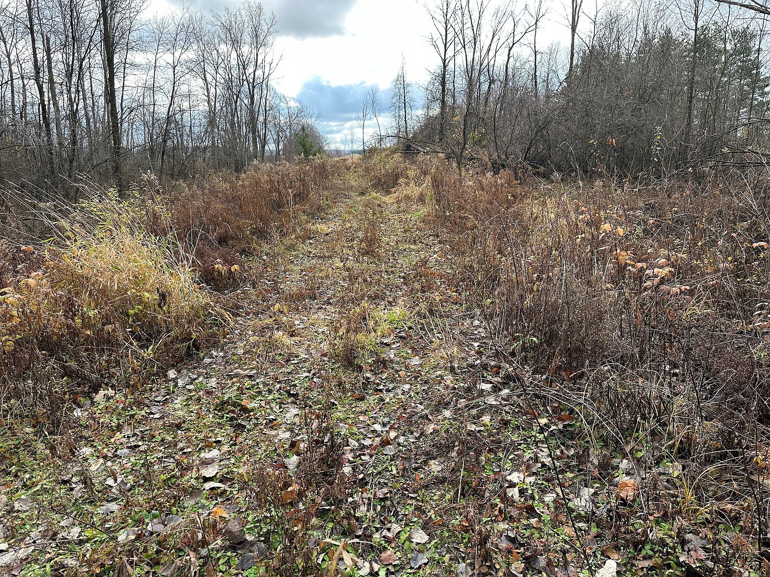 Ivanhoe Rd LOT WP001, Bad Axe, MI 48413 Zillow