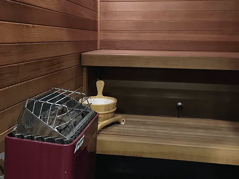 Finnish-Style Dry Sauna