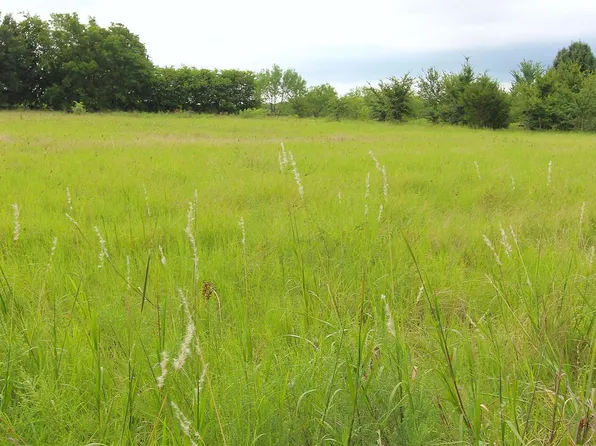 County Road 4079, Scurry, TX 75158