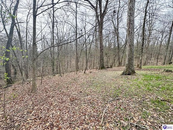 2nd image of 6383 Battle Training Rd