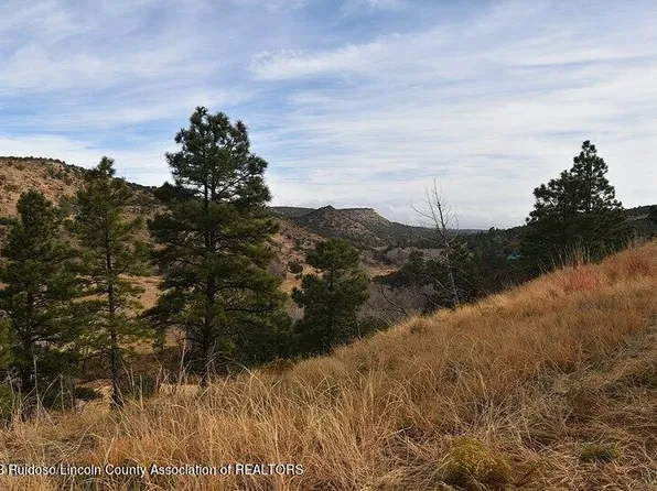 L301 Sandesta Dr, Alto, NM 88312