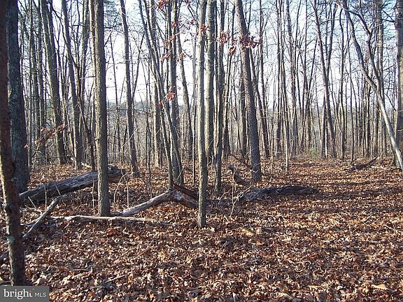 3rd image of 18 Shady Pine Dr