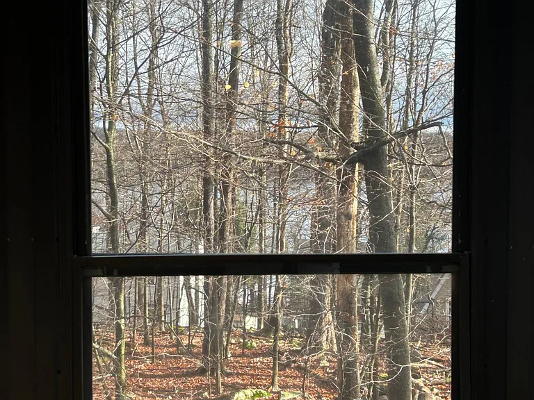 Seasonal Lake views