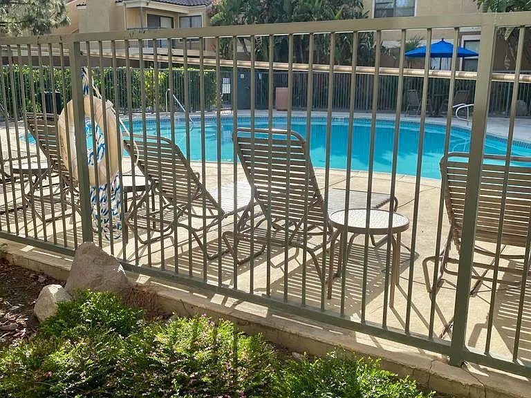 Main swimming pool and jacuzzi