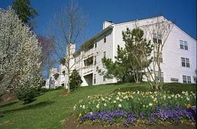 4th image of 4 Chase Gayton Dr APT 222