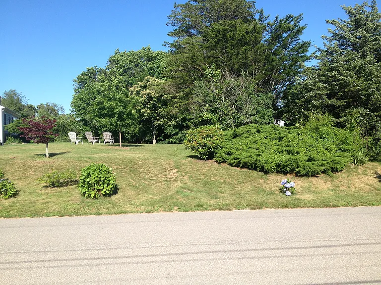 7 Cattail Dr — Photo 20