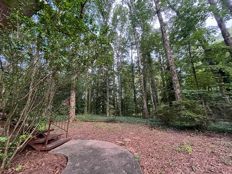 2906 Branchwood Dr — Photo 4