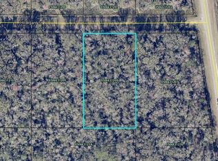 4815 Hildegard St, Hastings, FL 32145